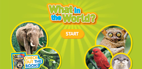 [ What in the World? ]